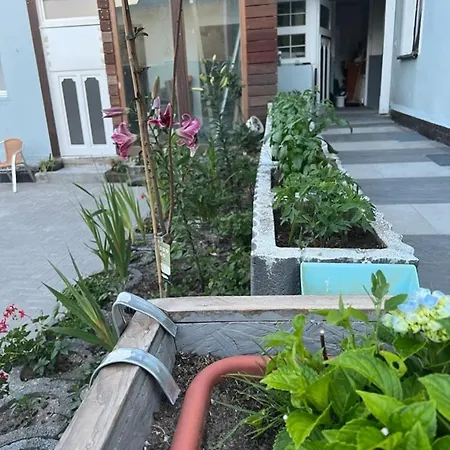 Ferienwohnung Antike Wohnmoeglichkeit Kurz Und Langfristig 100Qm Erdgeschoss Lauchhammer Exterior foto