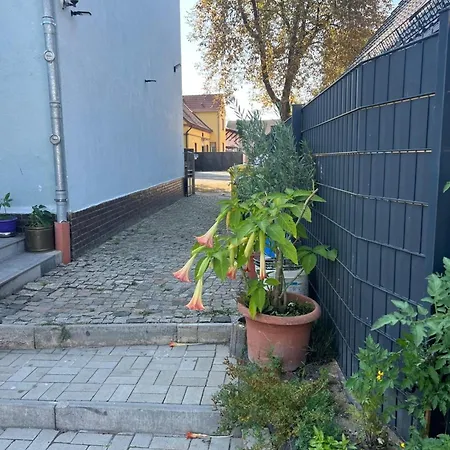 Ferienwohnung Antike Wohnmoeglichkeit Kurz Und Langfristig 100Qm Erdgeschoss Lauchhammer Exterior foto